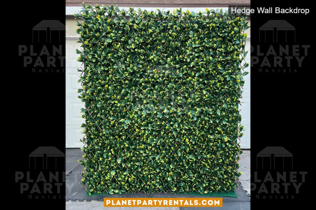 Hedge Wall Backdrop Event Rentals